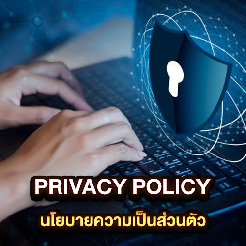 Privacy-Policy-นโยบายความเป็นส่วนตัว
