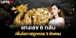 แทงเลข-6-กลับ